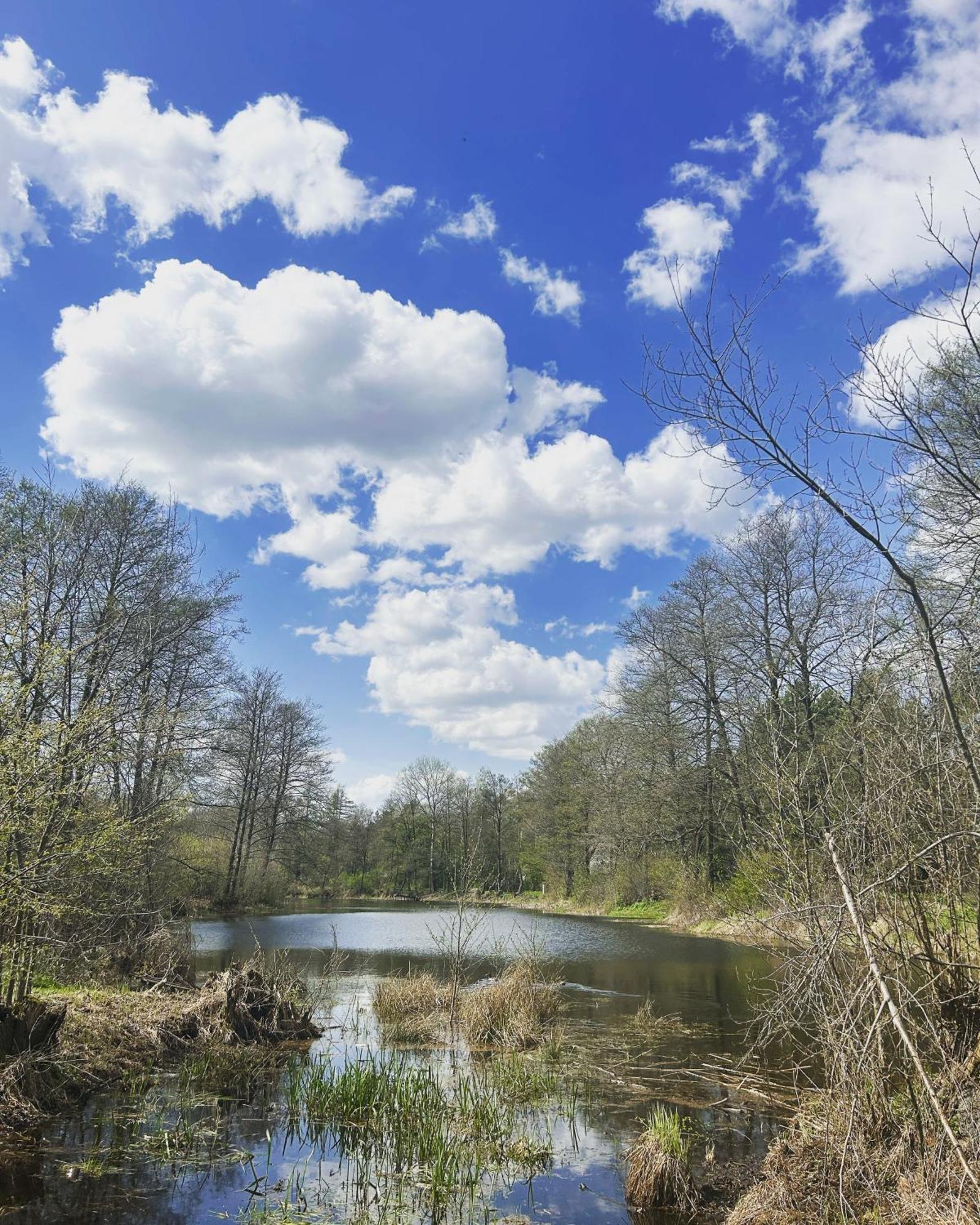 Masuria Warsaw Villa Skrzeszew Eksteriør bilde