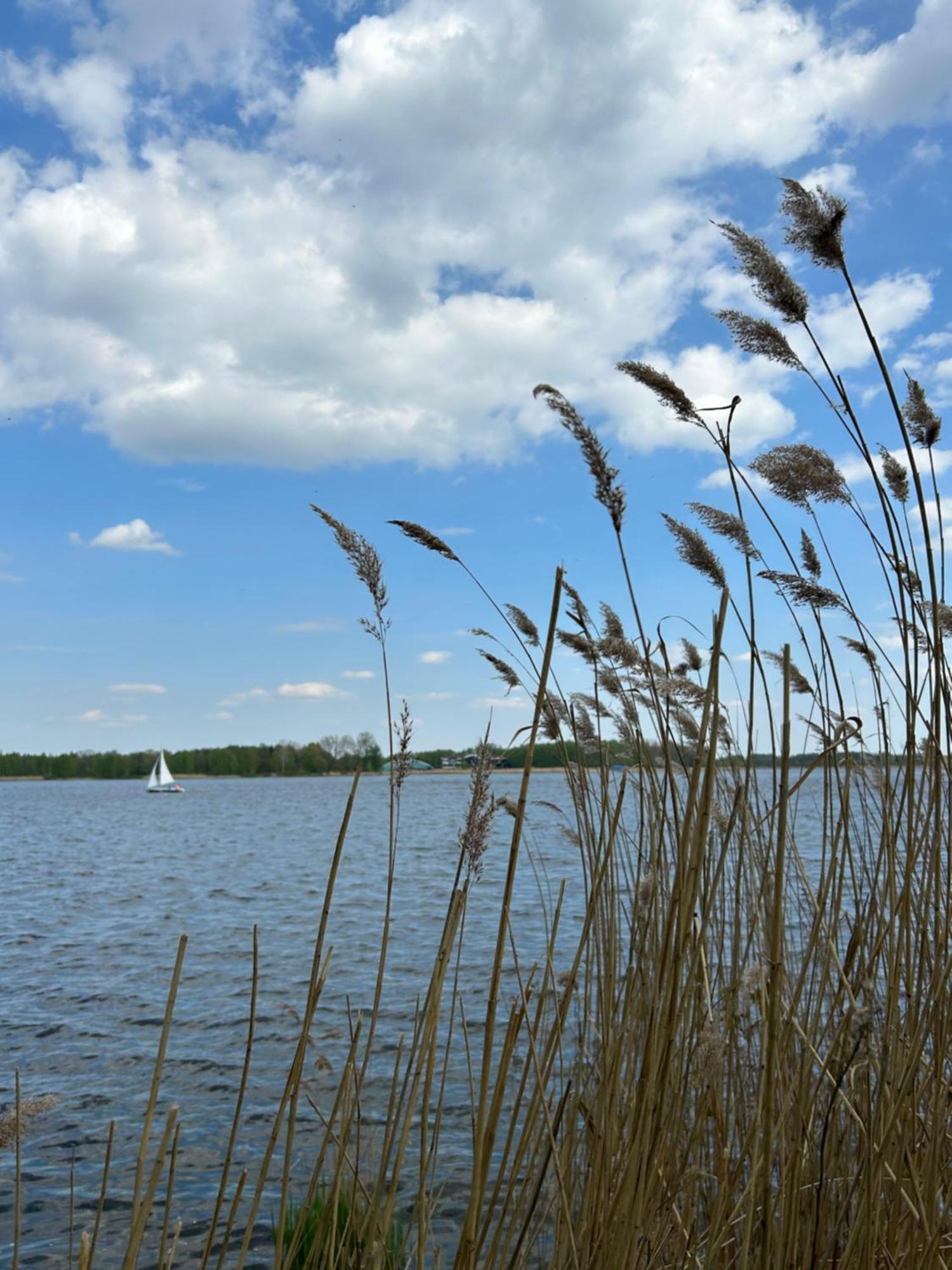 Masuria Warsaw Villa Skrzeszew Eksteriør bilde