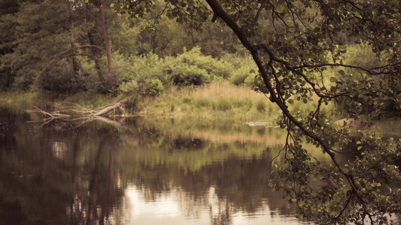 Masuria Warsaw Villa Skrzeszew Eksteriør bilde