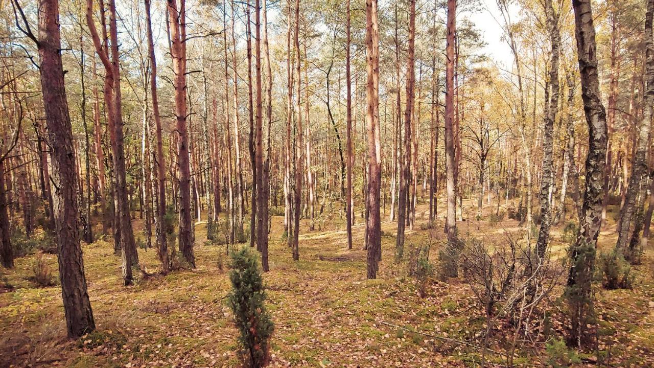 Masuria Warsaw Villa Skrzeszew Eksteriør bilde